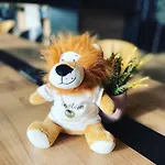 B&B HOTEL Compiègne Hotel